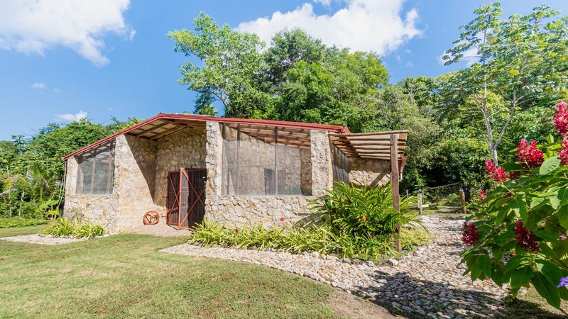/international/bz/-4235-spectacular-off-grid-mayan-retreat-with-two-stone-buildings-2-acres-of-land-pond-near-san-ignacio-town-cayo-district-belize-bullet-tree-falls-cayo-district-bullet-tree-falls-cayo-district-310104837520/