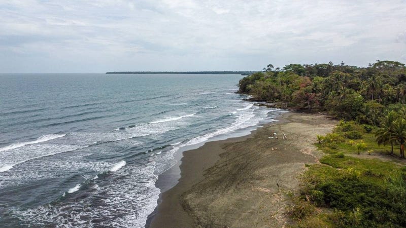 /international/cr/limon-talamanca-cahuita-playa-grande-limon-310108483760/