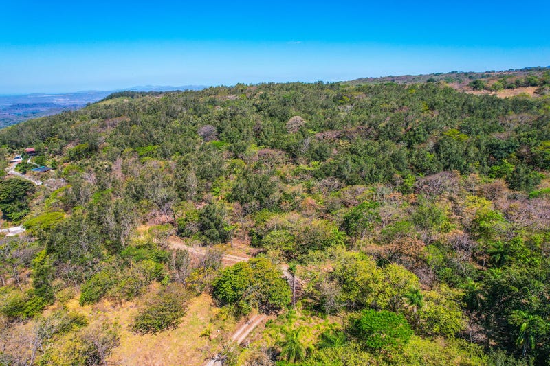 /international/cr/rancho-san-roque-lote-18-liberia-guanacaste-liberia-guanacaste-province-310101288612/