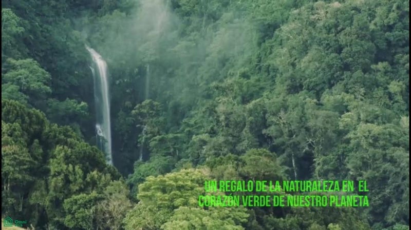 /international/cr/toro-amarillo-bajos-del-toro-toro-amarillo-alajuela-province-310105322591/