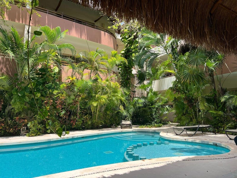 /international/mx/mz8lt5-calle-kabah-tulum-quintana-roo-310106429203/