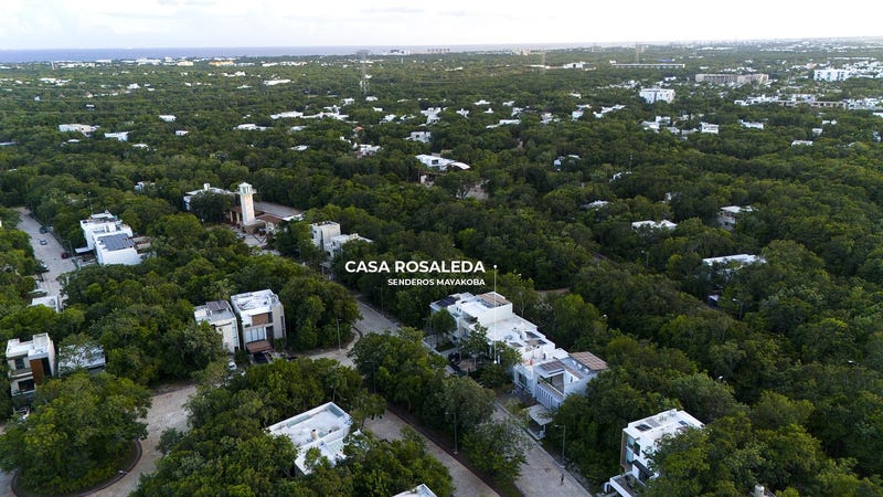 /international/mx/parque-chapultepec-7-77724-playa-del-carmen-q-r-mexico-playa-del-carmen-quintana-roo-310103454002/