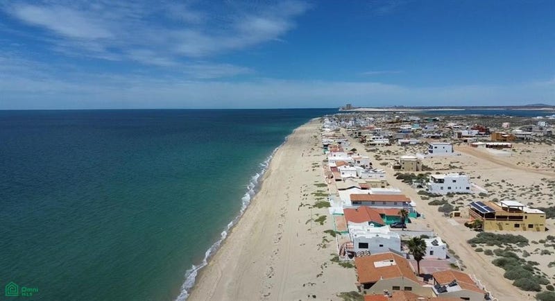 /international/mx/hipocampos-puerto-penasco-sonora-310107529486/