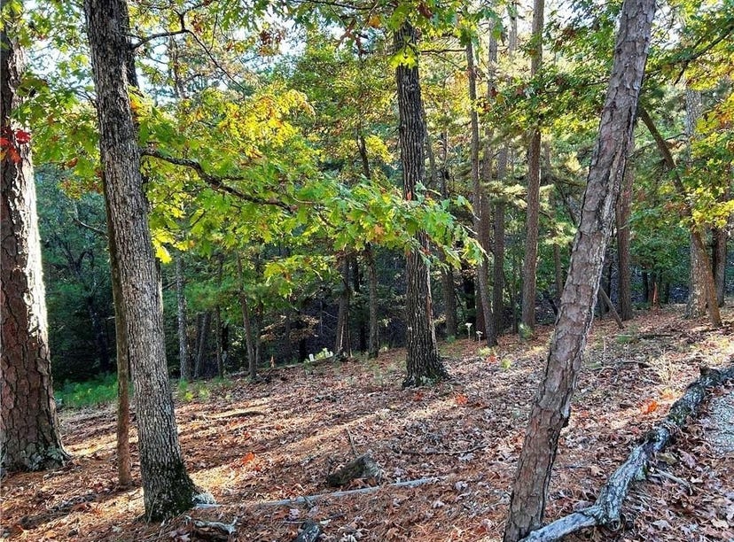 10 Angus ST, Eureka Springs, AR 72632 Land for Sale