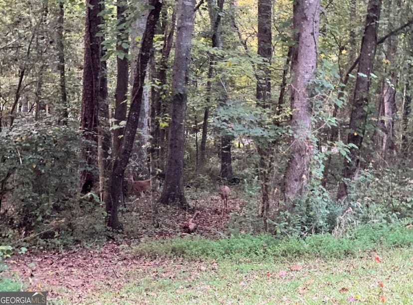 0 Wall, Winder, GA 30680 Land for Sale