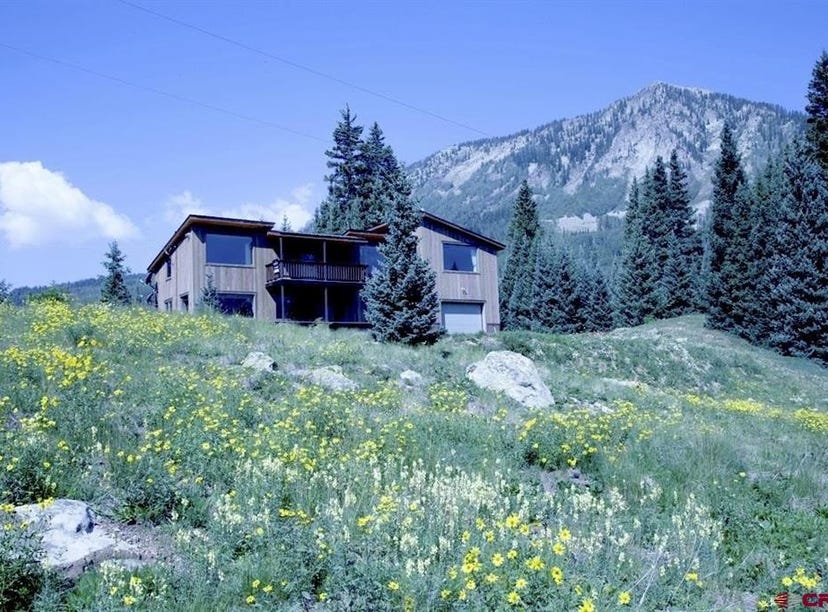 814 S Trout Lake Road, Ophir, CO 81426 House for Sale