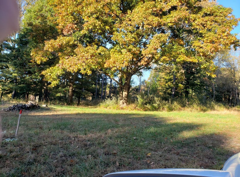 1025 Ramshorn Drive, Fremont, MI 49412 Land for Sale