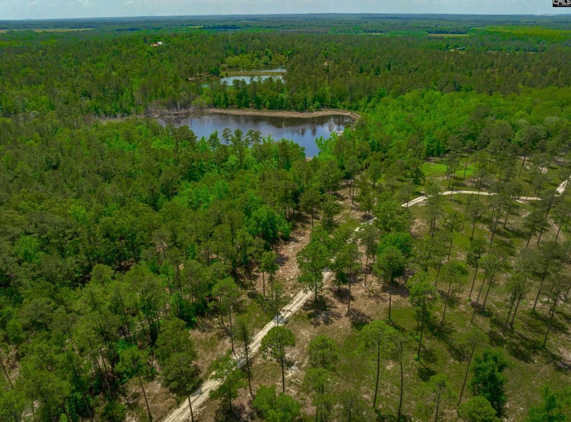 162605 Sumter Highway, Rembert, SC 29128 Land for Sale