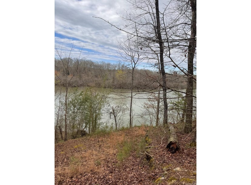 XXX Woodview Lane, Royal, AR 71968 Land for Sale