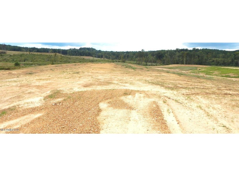 209 Hugh White State Park Road, Grenada, MS 38901 Land for Sale