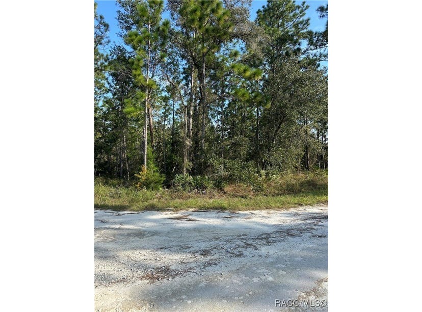 17444 Nighthawk Road, Weeki Wachee, FL 34614 Land for Sale realestate