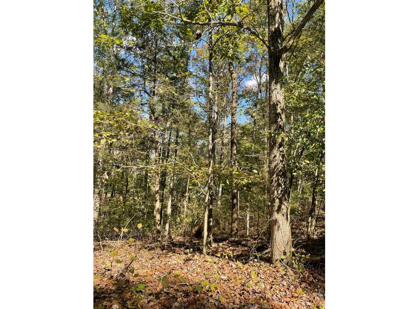 18 Clay Lick Acres, Apt 18, Edmonton, KY 42129 Land for Sale