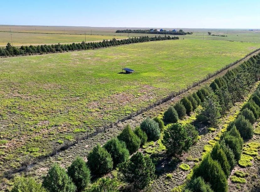 TBD County Road 78, Peetz, CO 80747 Land for Sale