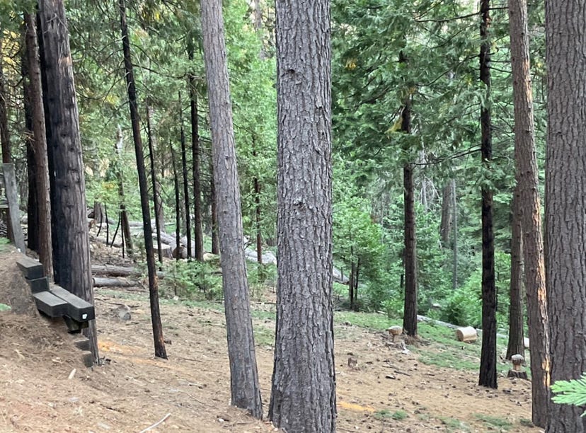 1914 Kit Carson, Arnold, CA 95223 Land for Sale