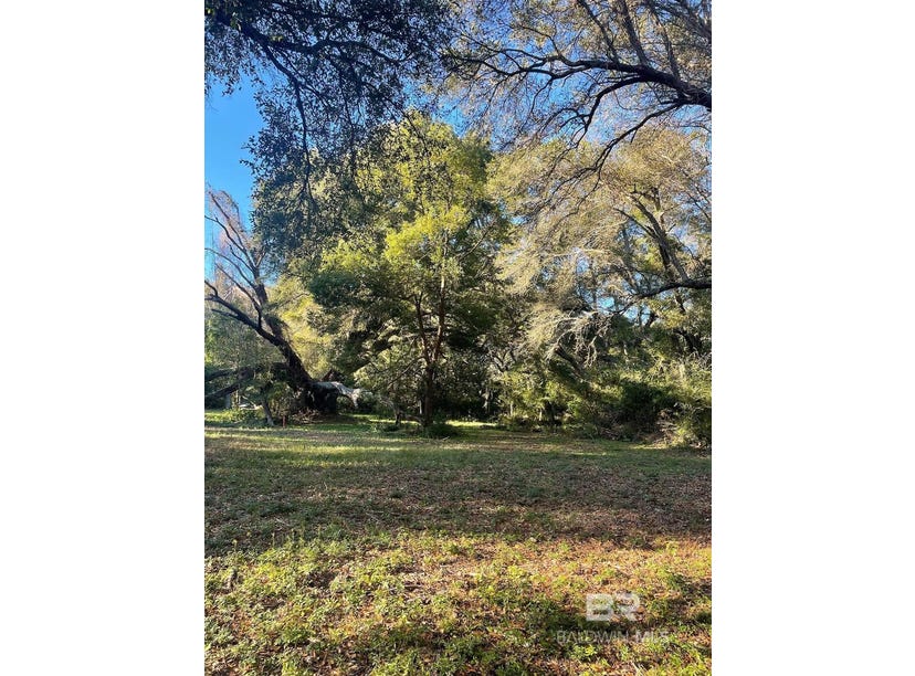 10600 Dora Hand Lane, Foley, AL 36535 Land for Sale