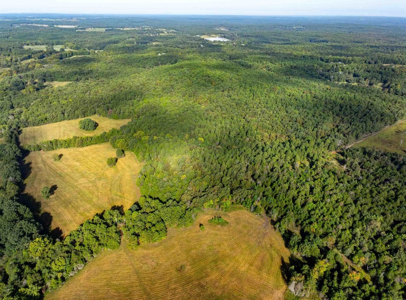 0 Red Barn Road, Cave City, AR 72521 Rural for Sale