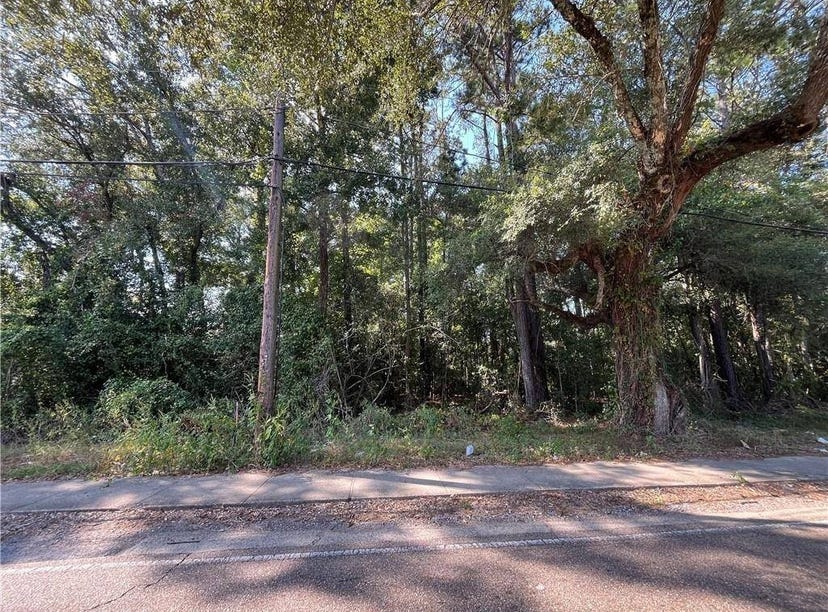 Martin Luther King Avenue, Hammond, LA 70401 Land for Sale realestate