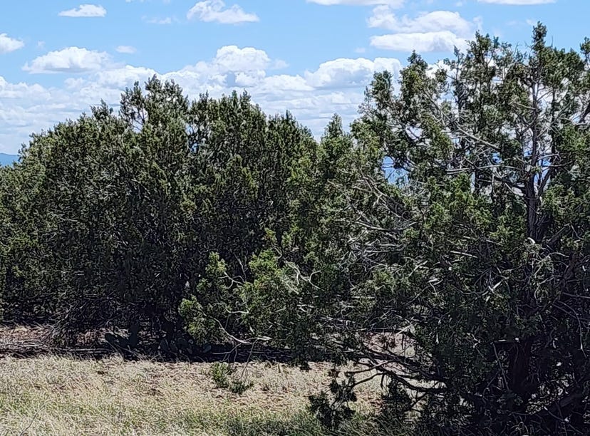 12b Juniperwood Ranch, Apt 12B, Ash Fork, AZ 86320 Land for Sale