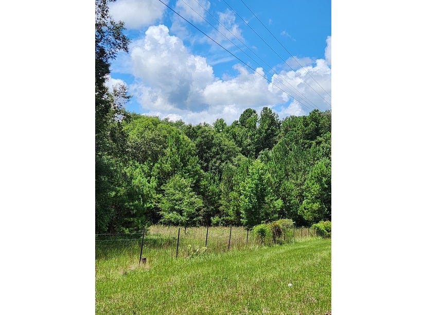 0 Old River Rd, Uvalda, GA 30473 Land for Sale