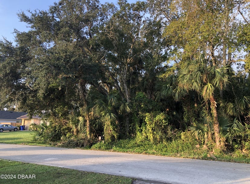 0 Queen Palm Drive, Edgewater, FL 32141 Land for Sale