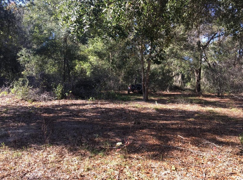 00 MALAUKA RUN, Apt 26, OCKLAWAHA, FL 32179 Land for Sale realestate