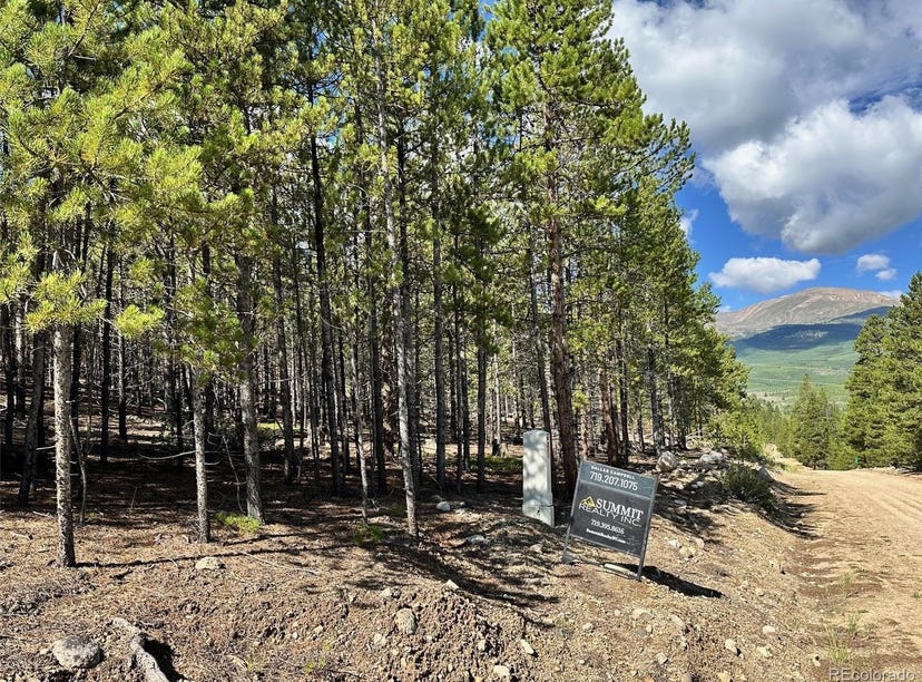776 Spruce Drive, Twin Lakes, CO 81251 Land for Sale