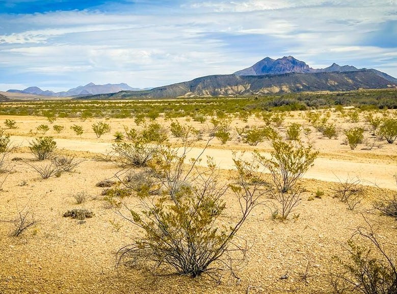 16705 Lavaca Ave, Terlingua, TX 79852 Land for Sale