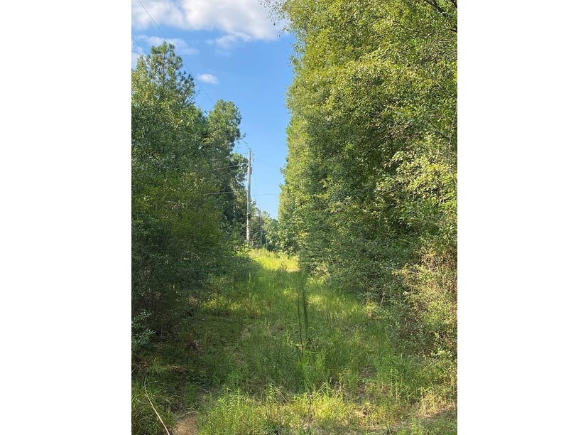 00 Owl Hoot Road, Perkinston, MS 39573 Land for Sale