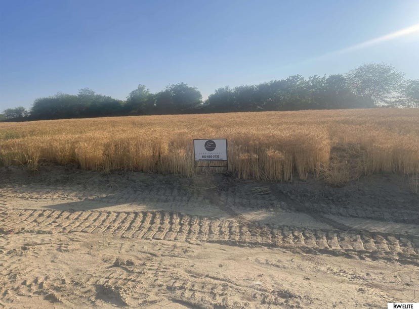 12534 S 227th Circle, Gretna, NE 68028 Land for Sale