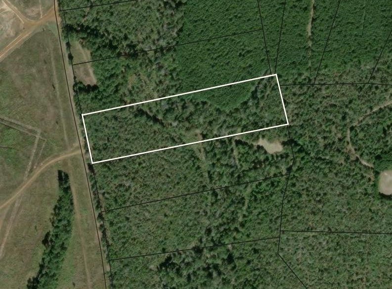 TBD LOT 15 CR 779, Douglass, TX 75964 Land for Sale