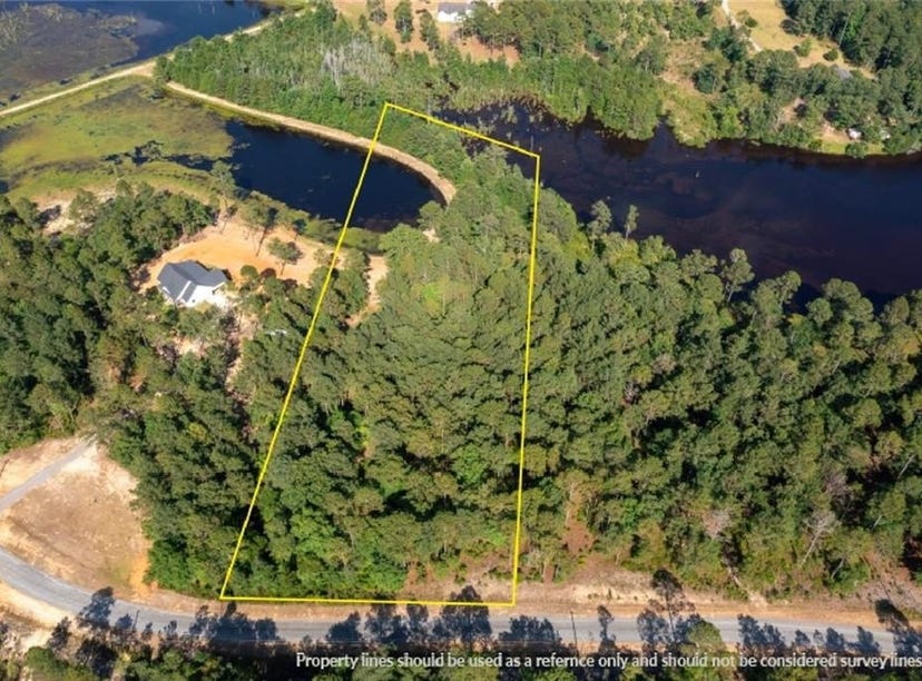 0 Wood Duck, Butler, GA 31006 Land for Sale