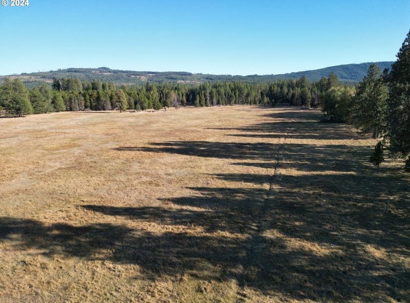 Lakeside RD, Apt Lot 1, Glenwood, WA 98619 Land for Sale realestate