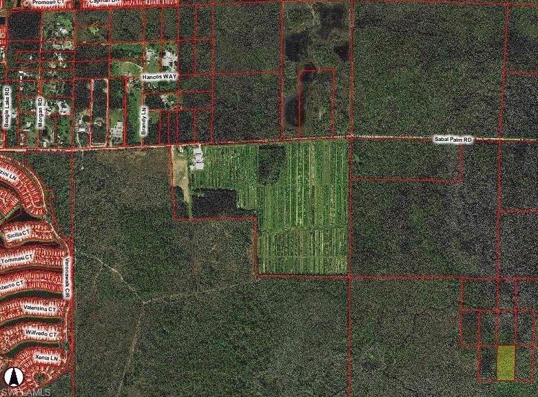 0 South of Sabal Palm, NAPLES, FL 34114 Land for Sale