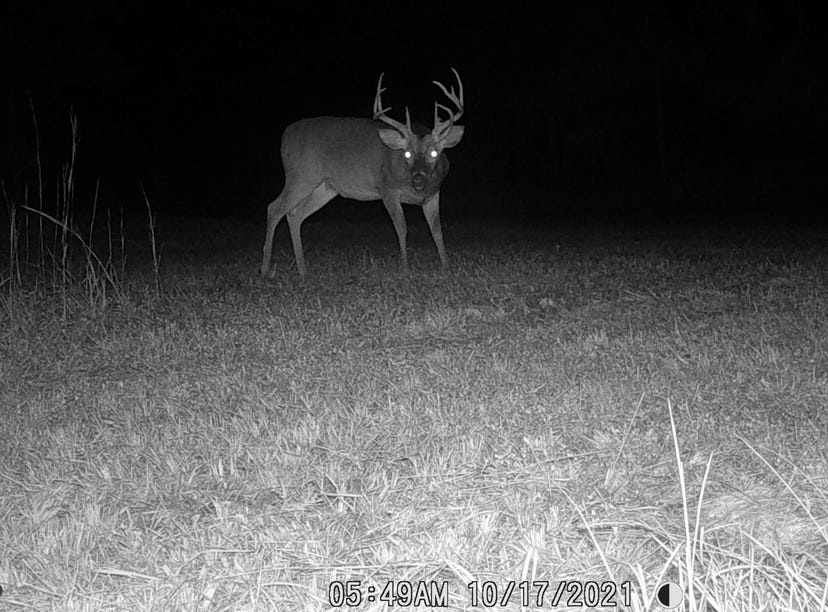 00 Tanyard Rd, Crystal Springs, MS 39059 Land for Sale