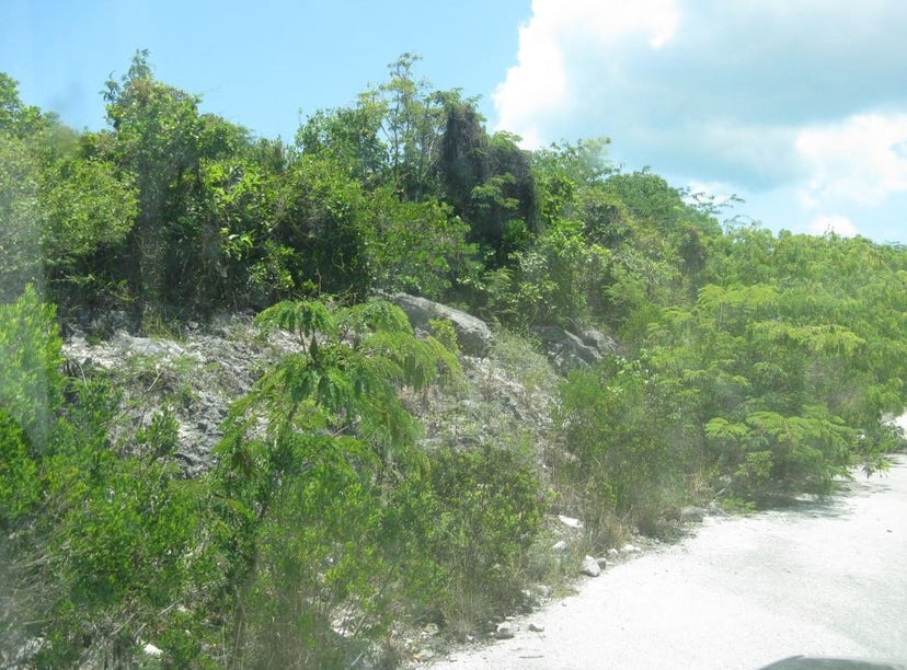 ROLLE TERRACE Lot, Fox Hill, New Providence/Paradise Island Land for