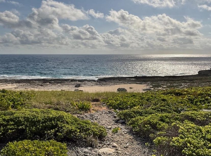 20 ACRES DEADMAN'S CAY, Deadman's Cay, Long Island Land for Sale