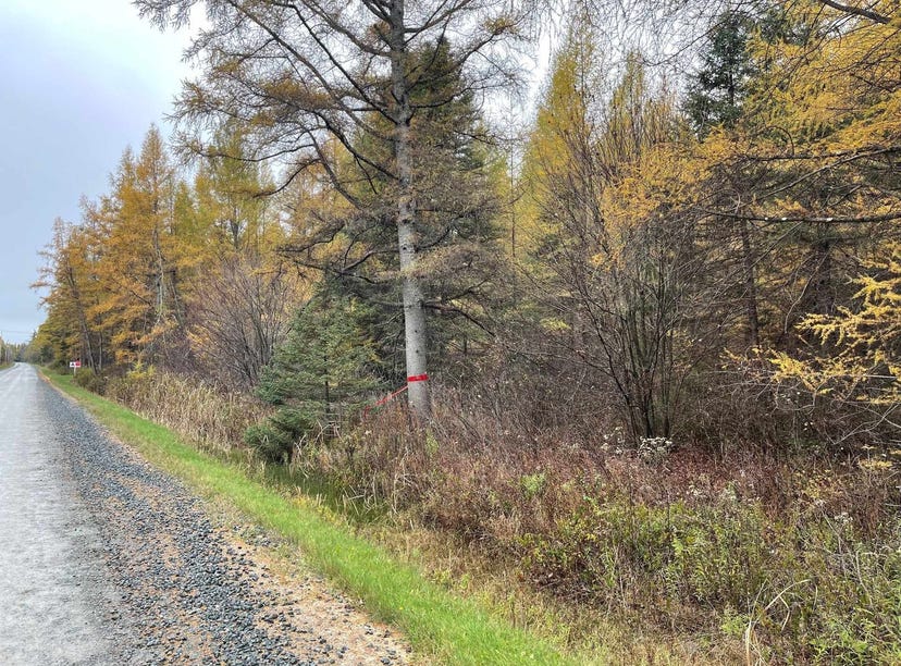 Ch. Fontaine, Weedon, QC J0B3J0, CA, Weedon, Québec Land for Sale