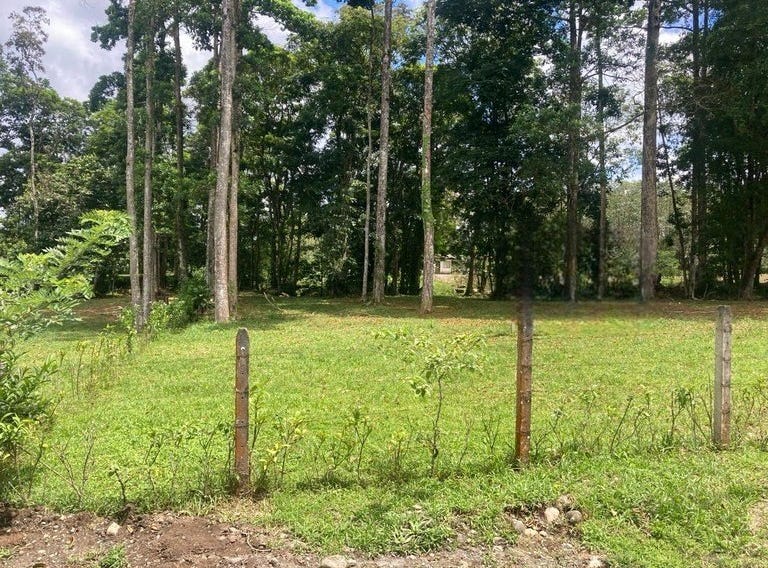 LOTES DANTITA EN GUÁPILES ÚLTIMO DISPONIBLE Beautiful lot close to
