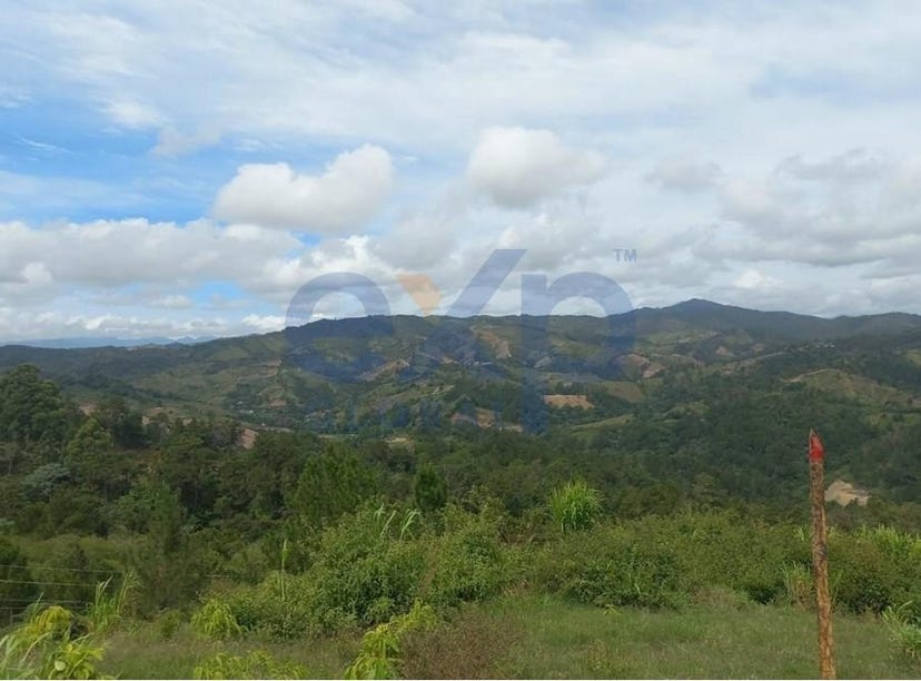 JARABACOA, La Vega, Address available on request Land for Sale