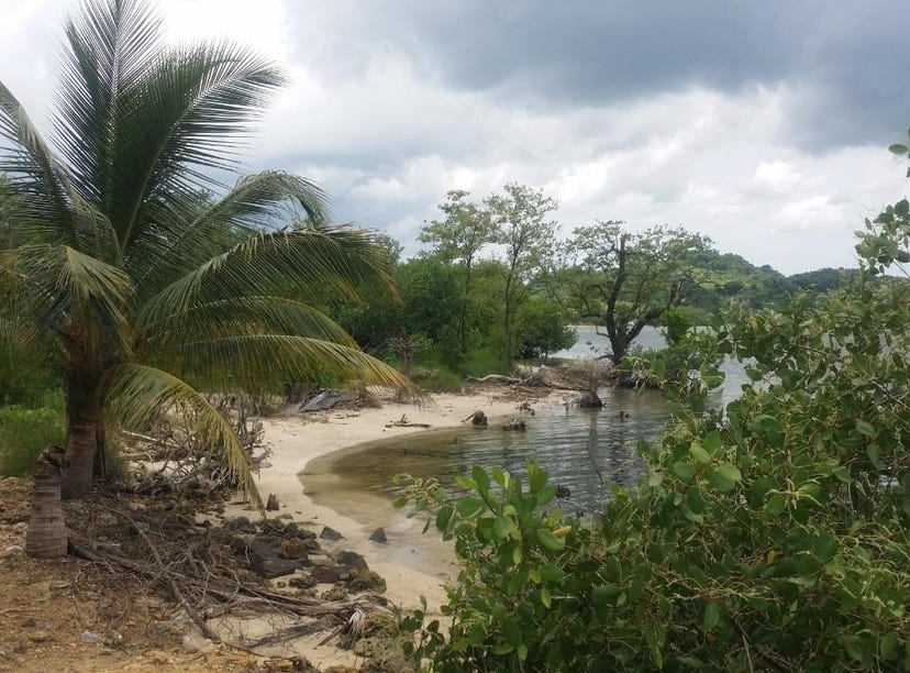 Green Island, Hanover Parish, Address available on request Land for