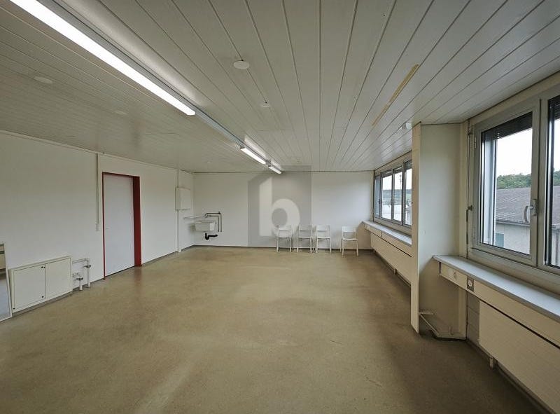 Villmergen, Aargau 5612 Offices for Rent