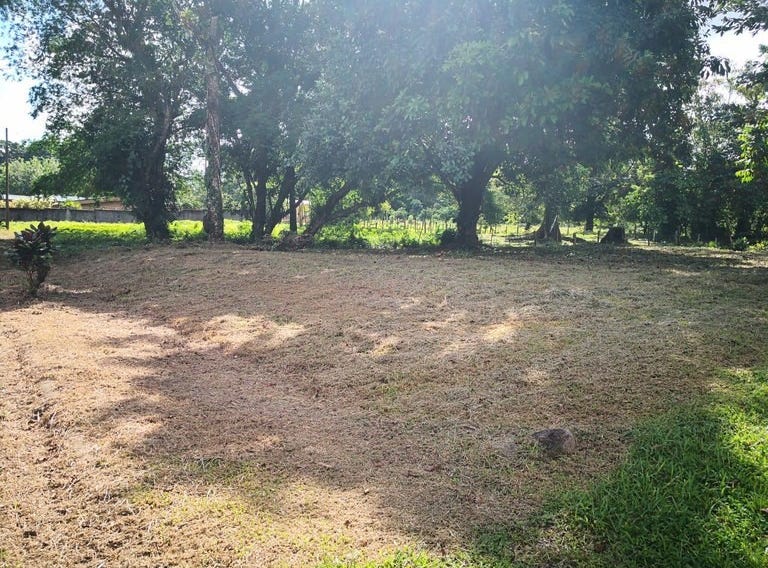 SALE OF LAND IN GUí PILES PARALLEL TO ROUTE 32, Guápiles, Limon Land