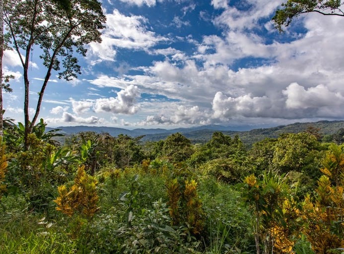 Diamond Waterfall Iconic Legacy Waterfall Property, Barð, San José