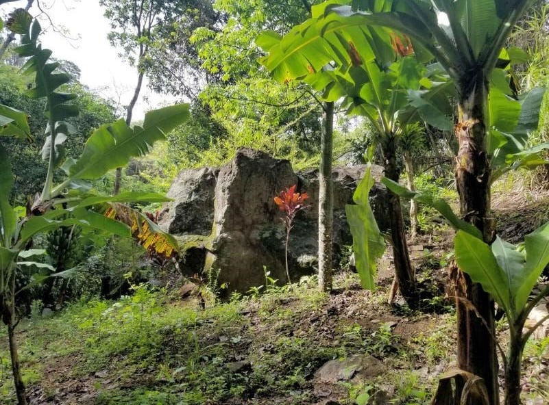 Atenas Atenas Alajuela Atenas Alajuela Province Land For Sale atenas-atenas-alajuela-atenas-alajuela-province-land-for-sale