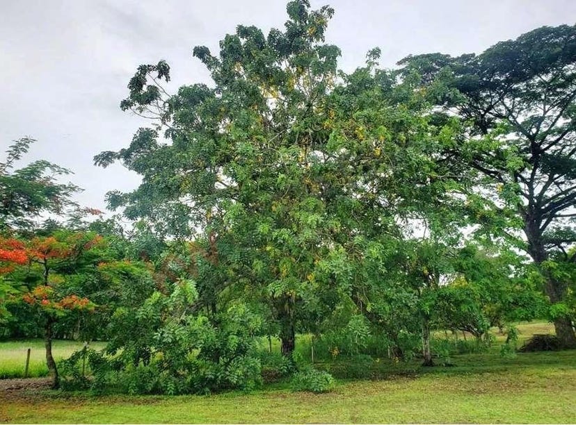 Garabito, Puntarenas Province 61102 Land for Sale