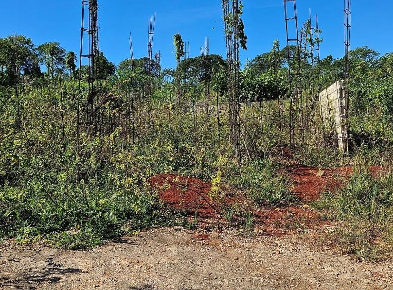 NASEBERRY VILLA KITSON TO, 1647, St. Catherine Land for Sale