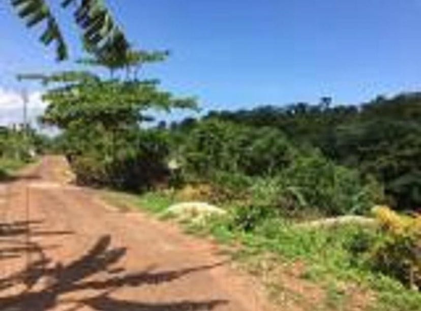EDDESFIELD MANGO VALLEY, Boscobel, St. Mary Parish Land for Sale