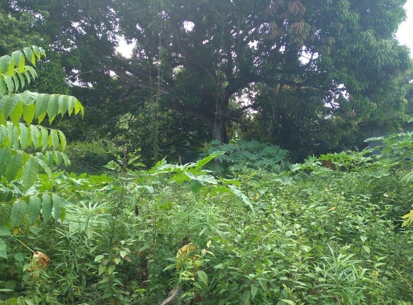 DANVERS PEN, 2834, St. Thomas Land for Sale