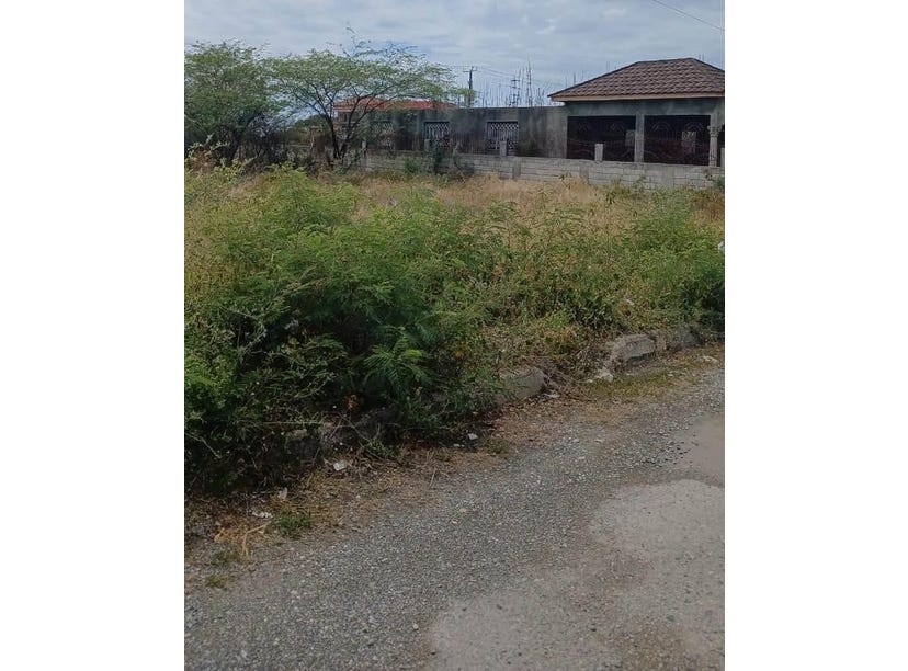 385 ALBION ESTATE ST. THOMAS, 2890, St. Thomas Land for Sale