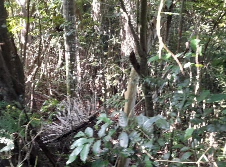 SUSSEX ESTATE ROAD, St. Ann's Bay, St. Ann Parish Land for Sale